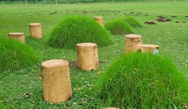 Aktuality / Kysacký prírodný chodníka poznania - foto