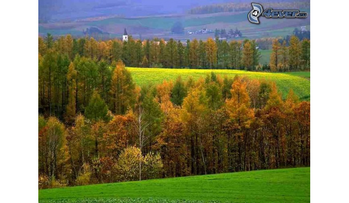 Lesné spoločenstvo Obišovce, pozem. spol.