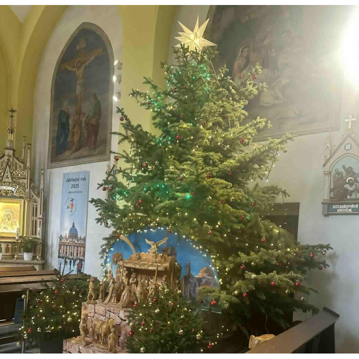 Prianie k Vianociam a Novému roku